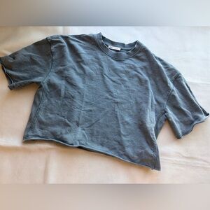 Zara short-sleeve crewneck crop tee